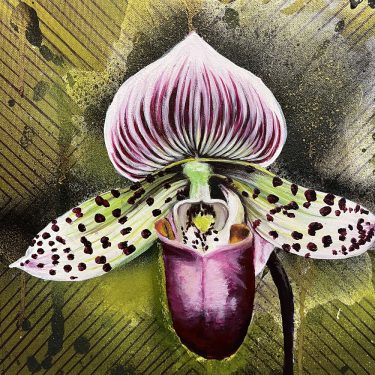 Orchid of my Amazon by Alexandra Alvarez